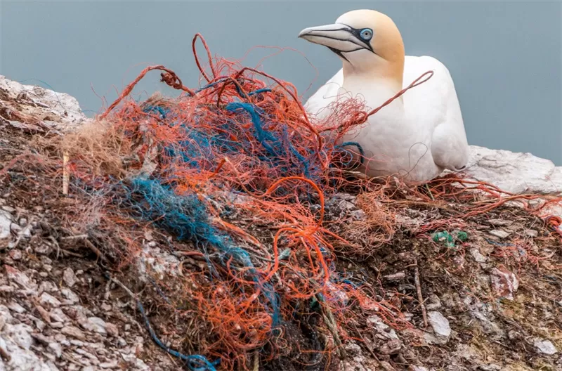 Global Plastics Pact Talks Fail To Reach Deal Global Plastics Pact Talks Fail To Reach Deal